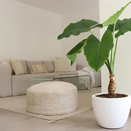 Ola Casa Villa *